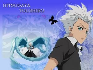 bleach-103_toushiro.jpg