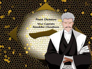 bleach-592_sasakibe.jpg