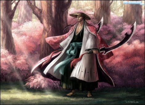 kyouraku-shunsui-bleach.jpg